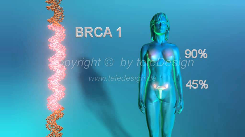 Vai trò của gen BRCA1 trong tế bào gốc tạo máu