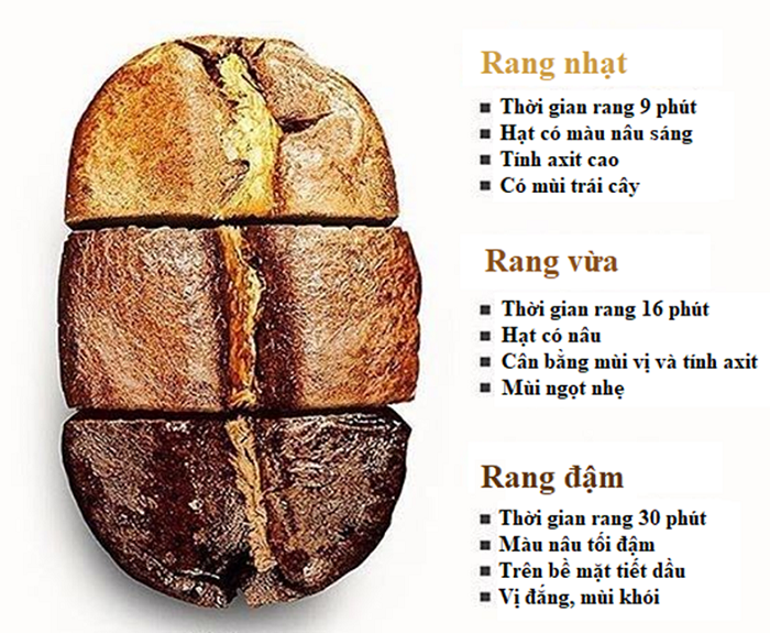 Cà phê có thể làm giảm các bệnh thoái hóa thần kinh