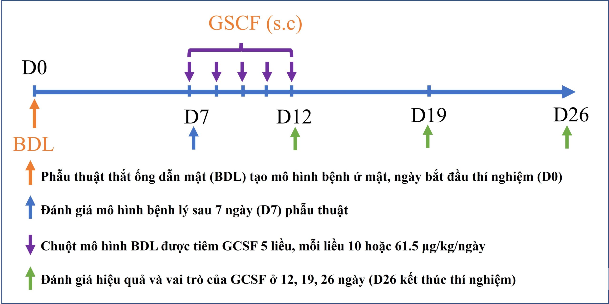 Giới thiệu công bố khoa học